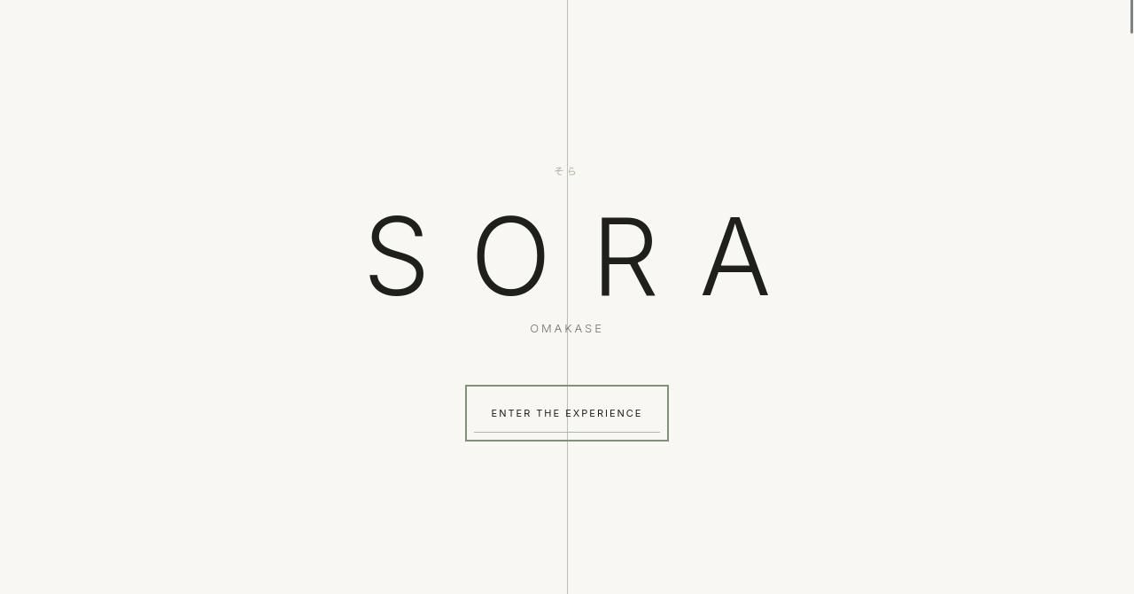Sora hospitality concept website